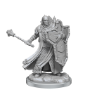 Dungeons &amp; Dragons: Frameworks: Human Cleric Male - 75071 [634482750711]