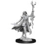 Dungeons &amp; Dragons: Frameworks: Human Druid Female - 75012 [634482750124]