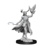 Dungeons &amp; Dragons: Frameworks: Human Druid Female - 75012 [634482750124]