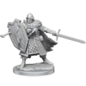 Dungeons & Dragons: Frameworks: Human Fighter Male 