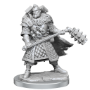 Dungeons &amp; Dragons: Frameworks: Human Fighter Male - 75013 [634482750131]