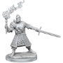 Dungeons &amp; Dragons: Frameworks: Human Fighter Male - 75013 [634482750131]