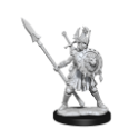 Dungeons & Dragons: Frameworks: Human Fighter Female 