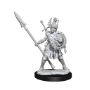 Dungeons &amp; Dragons: Frameworks: Human Fighter Female - 75025 [634482750254]
