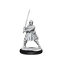 Dungeons &amp; Dragons: Frameworks: Human Fighter Female - 75025 [634482750254]