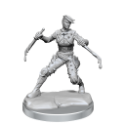 Dungeons & Dragons: Frameworks: Human Rogue Female 