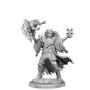 Dungeons &amp; Dragons: Frameworks: Human Warlock Male - 75039 [634482750391]