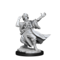 Dungeons & Dragons: Frameworks: Human Wizard Male 