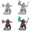 Pathfinder: Legendary Cuts: Male Human Wizard 