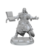 Pathfinder: Legendary Cuts: Male Human Wizard - 77000 [634482770009]