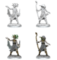 Dungeons & Dragons: Frameworks: Medusa 