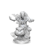 Dungeons &amp; Dragons: Frameworks: Night Hag - 75044 [634482750445]