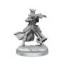 Dungeons &amp; Dragons: Frameworks: Tiefling Rogue Female - 75020 [634482750209]