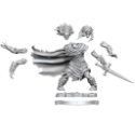 Dungeons & Dragons: Frameworks: Wight 