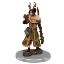 Dungeons & Dragons: Icons of the Realms: Premium Figure: Female Human Druid  