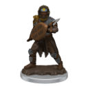 Dungeons & Dragons: Icons of the Realms: Premium Figure: Male Human Fighter 