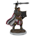 Dungeons & Dragons: Icons of the Realms: Premium Figure: Male Human Paladin 