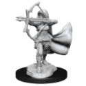 Dungeons & Dragons Nolzur’s Marvelous Miniatures: AIR GENASI FEMALE 