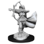 Dungeons &amp; Dragons Nolzur’s Marvelous Miniatures: AIR GENASI FEMALE - 90305 [634482903056]