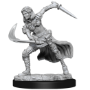 Dungeons &amp; Dragons Nolzur’s Marvelous Miniatures: AIR GENASI FEMALE - 90305 [634482903056]