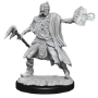 Dungeons &amp; Dragons Nolzur’s Marvelous Miniatures: ALLIP AND DEATHLOCK - 90316 [634482903162]