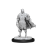 Dungeons &amp; Dragons Nolzur’s Marvelous Miniatures: AUTUMN AND SUMMER ELADRIN - 90319 [634482903193]