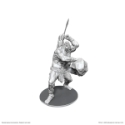Dungeons & Dragons Nolzur’s Marvelous Miniatures: Brohg 