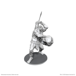 Dungeons &amp; Dragons Nolzur’s Marvelous Miniatures: B'rohg