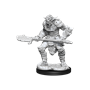 Dungeons &amp; Dragons Nolzur’s Marvelous Miniatures: BUGBEAR BARBARIAN/ROGUE - 90311 [634482903117]