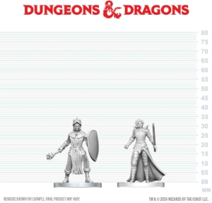 Dungeons &amp; Dragons Nolzur’s Marvelous Miniatures: Black Gauntlet & Zhentarim Paladin of Bane