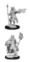 Dungeons & Dragons Nolzur’s Marvelous Miniatures: Multiclass: Cleric / Wizard 