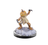 Dungeons &amp; Dragons Nolzur’s Marvelous Miniatures: Carrionettes - 90678 [634482906781]
