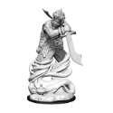Dungeons & Dragons Nolzur’s Marvelous Miniatures: DJINNI 