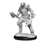 Dungeons &amp; Dragons Nolzur’s Marvelous Miniatures: DRAGONBORN FIGHTER FEMALE - 90302 [634482903025]