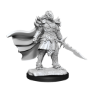 Dungeons &amp; Dragons Nolzur’s Marvelous Miniatures: DRAGONBORN FIGHTER FEMALE - 90302 [634482903025]