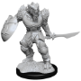 Dungeons &amp; Dragons Nolzur’s Marvelous Miniatures: DRAGONBORN FIGHTER MALE - 90303 [634482903032]