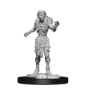 Dungeons &amp; Dragons Nolzur’s Marvelous Miniatures: DROWNED ASSASSIN/ ASETIC - 90242 [634482902424]