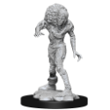 Dungeons & Dragons Nolzur’s Marvelous Miniatures: DROWNED ASSASSIN/ ASETIC 