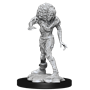 Dungeons &amp; Dragons Nolzur’s Marvelous Miniatures: DROWNED ASSASSIN/ ASETIC - 90242 [634482902424]