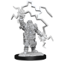Dungeons &amp; Dragons Nolzur’s Marvelous Miniatures: DWARF CLERIC MALE - 90222 [634482902226]