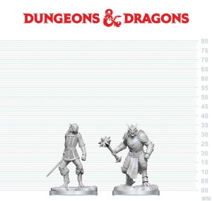 Dungeons &amp; Dragons Nolzur’s Marvelous Miniatures: Dragonborn Paladin & Dragonborn Squire