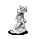 Dungeons & Dragons Nolzur’s Marvelous Miniatures: EFREETI 
