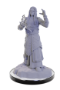 Dungeons &amp; Dragons Nolzur’s Marvelous Miniatures: Elf Wizards - 90672 [634482906729]