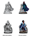 Dungeons & Dragons Nolzur’s Marvelous Miniatures: FEMALE TIEFLING SORCERER 