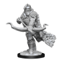 Dungeons &amp; Dragons Nolzur’s Marvelous Miniatures: FIRBOLG RANGER MALE - 90227 [634482902271]
