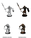 Dungeons & Dragons Nolzur’s Marvelous Miniatures: Gnoll/ Gnoll Flesh Gnawer 