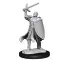Dungeons & Dragons Nolzur’s Marvelous Miniatures: HALF-ELF PALADIN MALE 