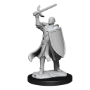 Dungeons &amp; Dragons Nolzur’s Marvelous Miniatures: HALF-ELF PALADIN MALE - 90230 [634482902301]