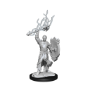 Dungeons &amp; Dragons Nolzur’s Marvelous Miniatures: HALF-ELF PALADIN MALE - 90230 [634482902301]