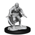 Dungeons & Dragons Nolzur’s Marvelous Miniatures: HALF-ELF ROGUE FEMALE 
